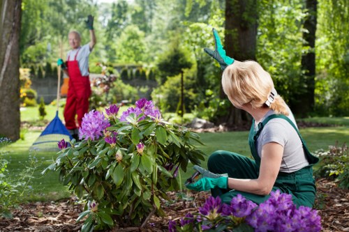 Local lawn care for a Turnhamgreen garden with neat edging