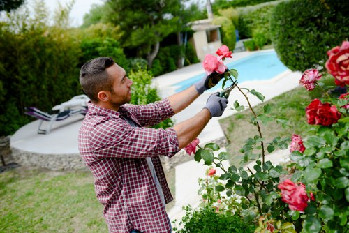 Garden maintenance work in a Turnhamgreen residential garden