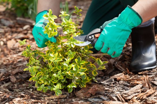 Landscape gardeners planning a Turnhamgreen garden redesign