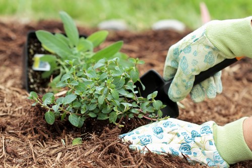 Card and online payment safety image for Landscapers Turnhamgreen customers