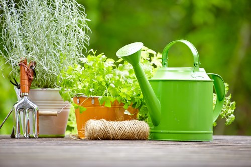 Local patio maintenance for a terrace or courtyard area