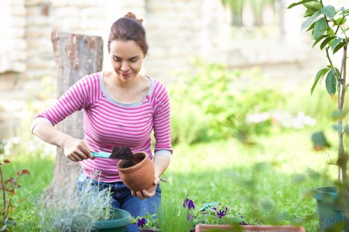 Soft landscaping and lawn improvement for a residential property in Turnhamgreen