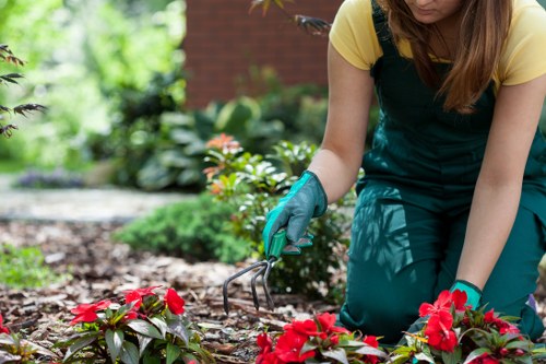 Garden waste removal for a property near Turnhamgreen and nearby Chiswick