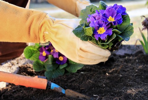 Final compliance statement supporting ethical landscaping operations