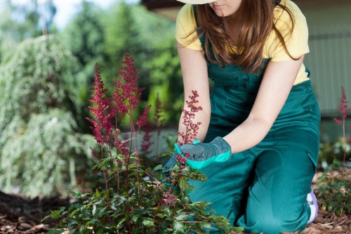 Senior review of a landscaping complaint resolution