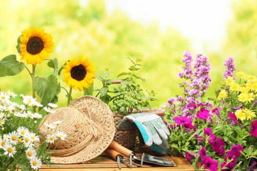 Local planting and lawn improvements for a Turnhamgreen property