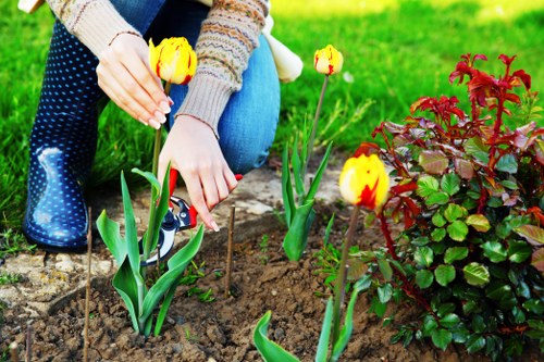 Keyboard navigation and accessible page layout for landscapers