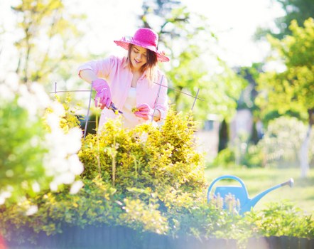 Garden layout planning and landscaping work in Turnhamgreen