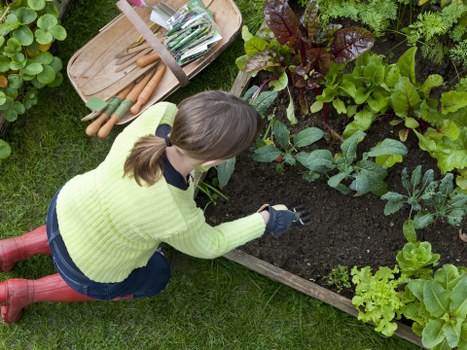Final resolution stage in a landscapers complaints procedure