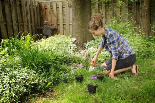 Grass cutting service for a small West London garden
