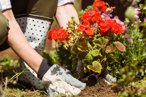 Accessibility support request section for Turnham Green landscaping site